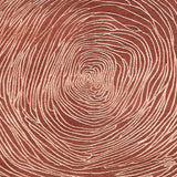 Cambium