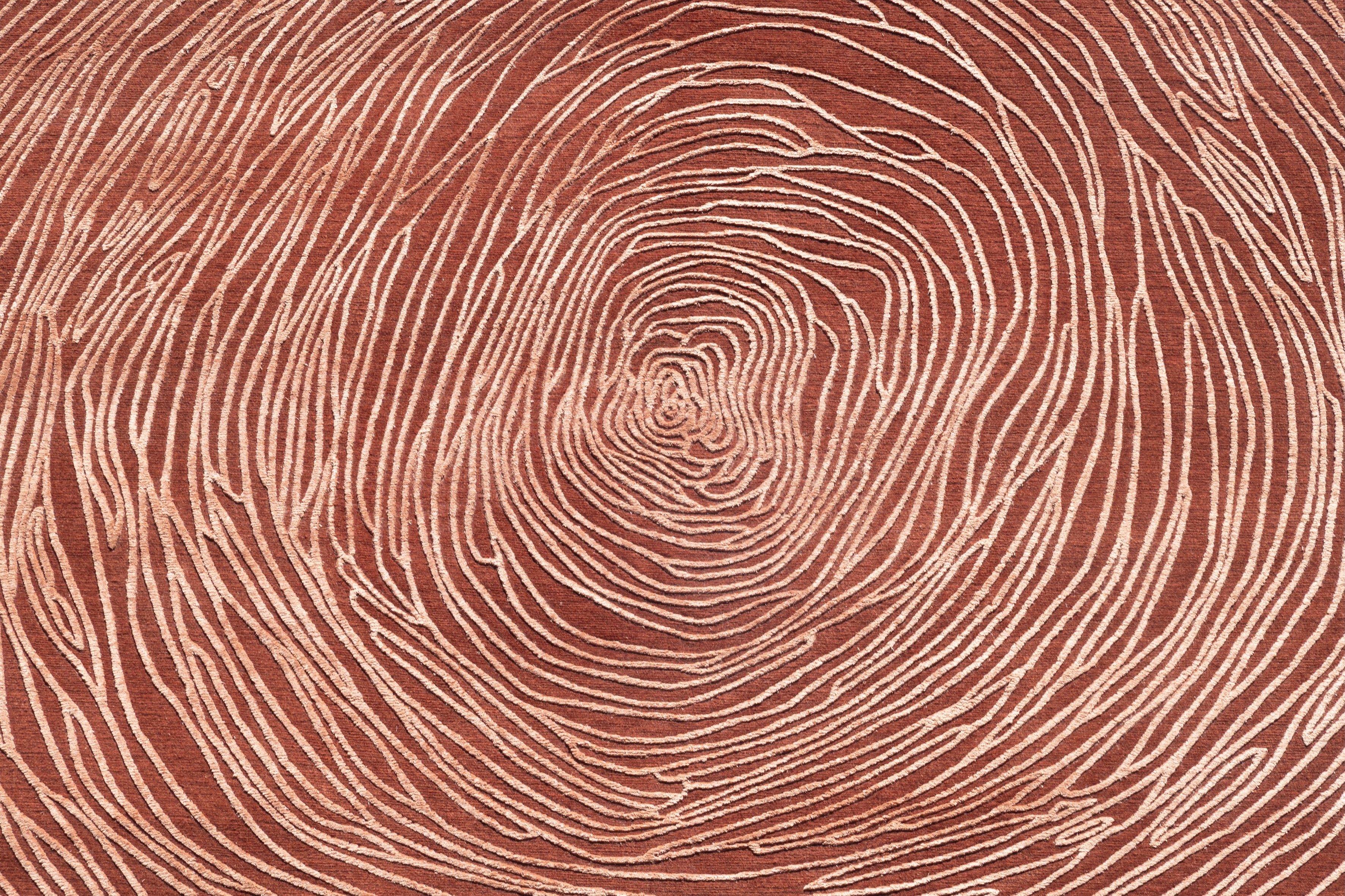 Cambium