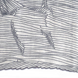 Araucaria