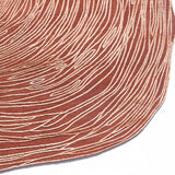 Cambium