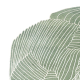 Ginkgo
