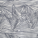 Araucaria