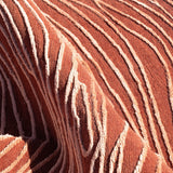 Cambium
