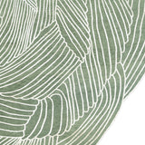 Ginkgo