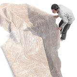 Metamorphic